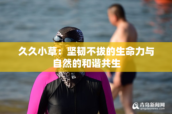 久久小草：坚韧不拔的生命力与自然的和谐共生