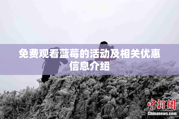 免费观看蓝莓的活动及相关优惠信息介绍