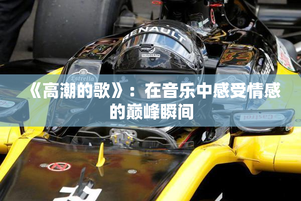 《高潮的歌》：在音乐中感受情感的巅峰瞬间