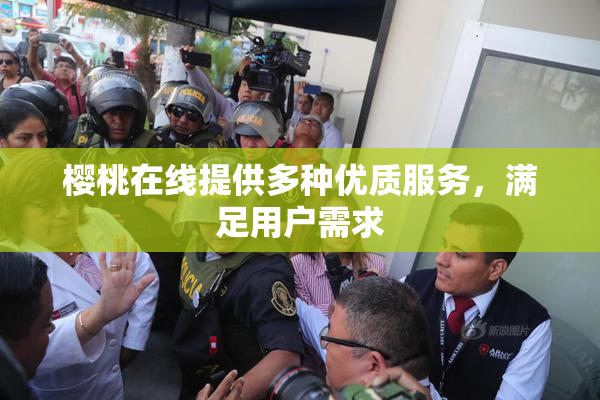 樱桃在线提供多种优质服务，满足用户需求