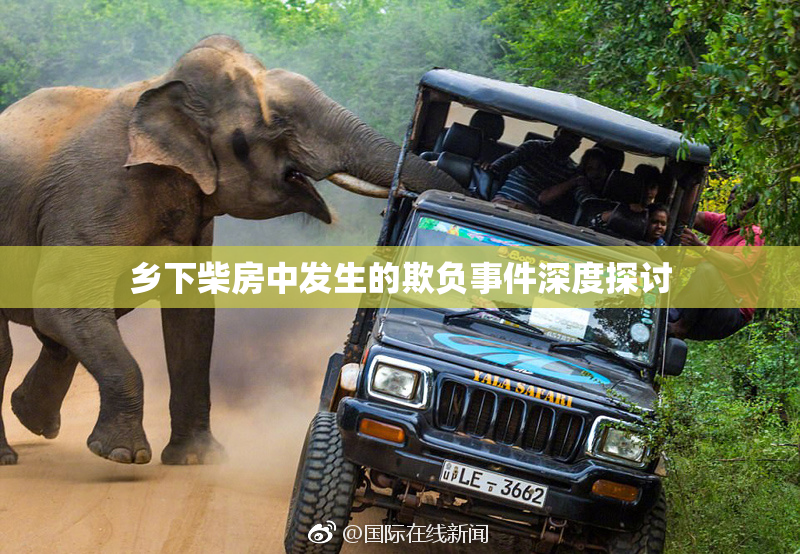 乡下柴房中发生的欺负事件深度探讨