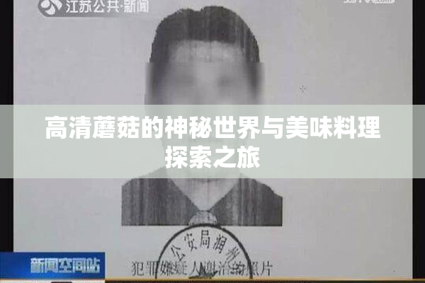 高清蘑菇的神秘世界与美味料理探索之旅