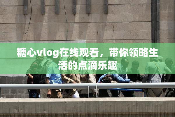糖心vlog在线观看，带你领略生活的点滴乐趣