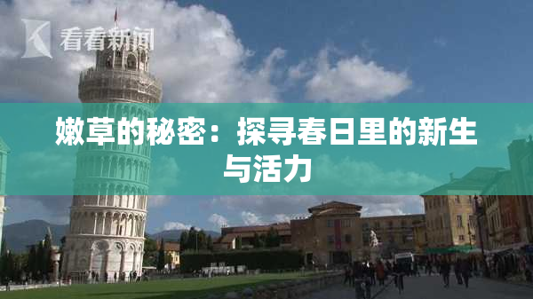 嫩草的秘密：探寻春日里的新生与活力