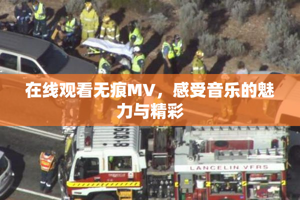 在线观看无痕MV，感受音乐的魅力与精彩
