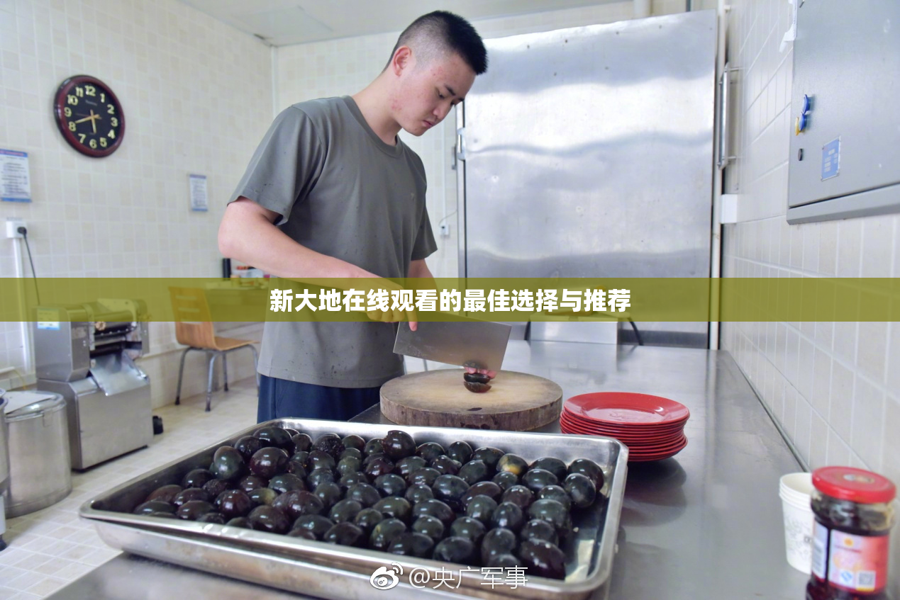 新大地在线观看的最佳选择与推荐