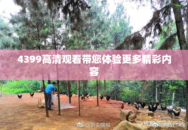 4399高清观看带您体验更多精彩内容