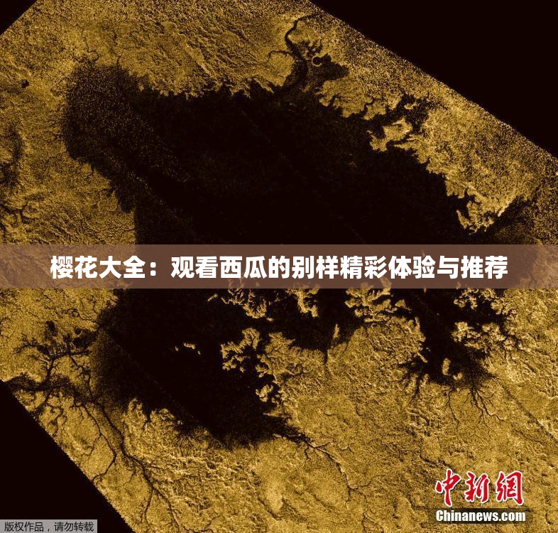 樱花大全：观看西瓜的别样精彩体验与推荐
