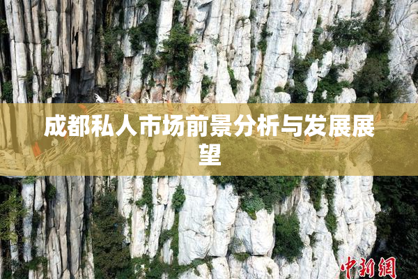 成都私人市场前景分析与发展展望