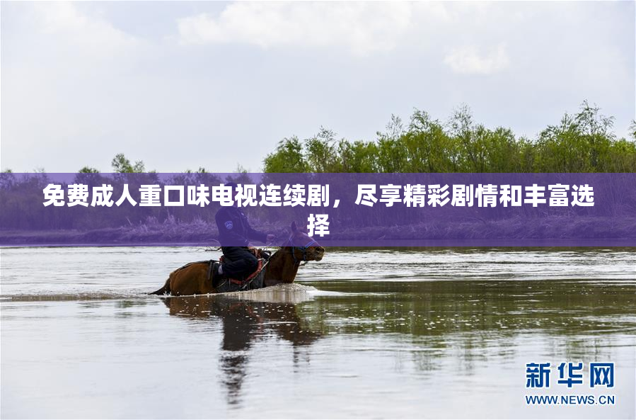 免费成人重口味电视连续剧，尽享精彩剧情和丰富选择