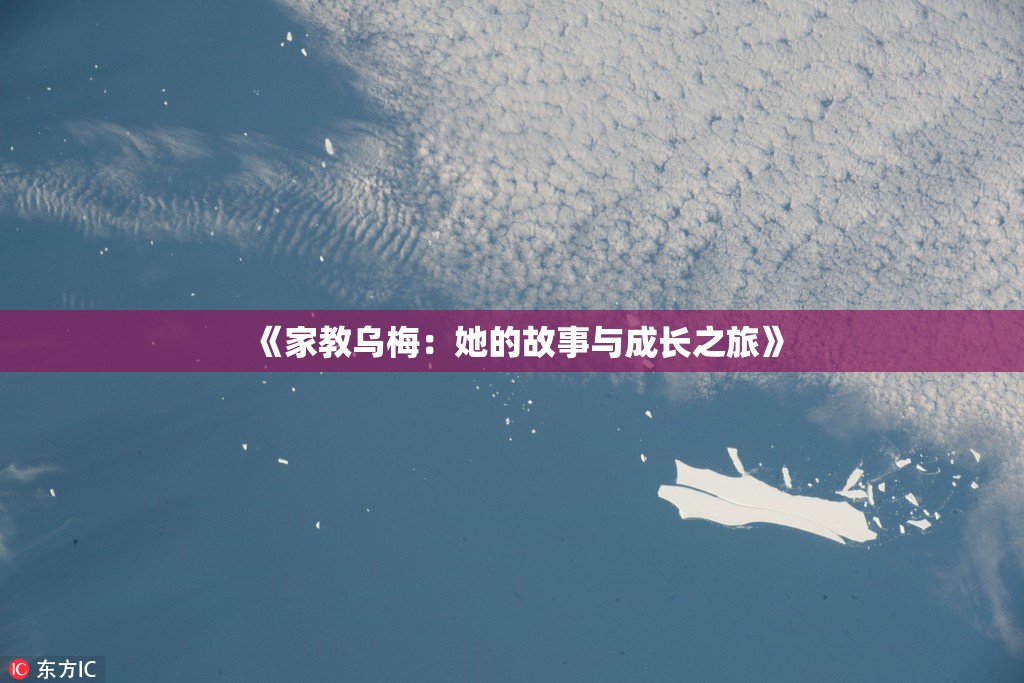 《家教乌梅：她的故事与成长之旅》