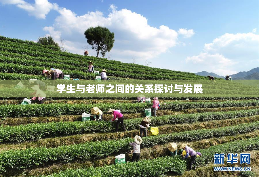 学生与老师之间的关系探讨与发展