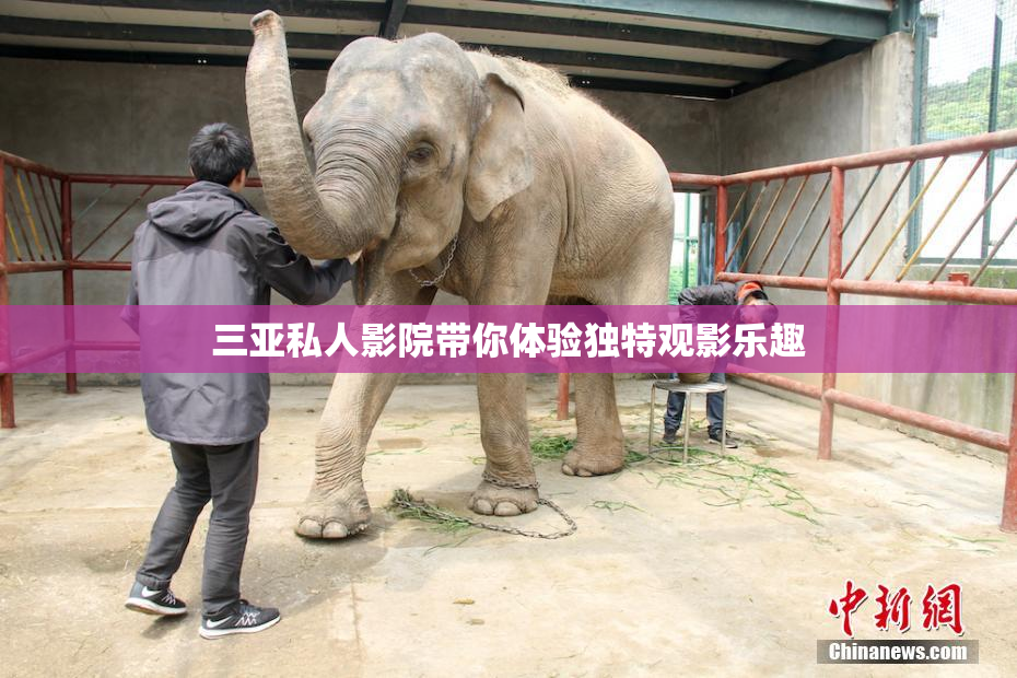 三亚私人影院带你体验独特观影乐趣