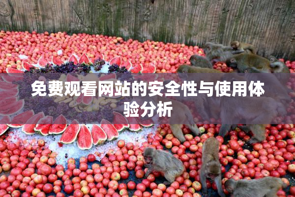 免费观看网站的安全性与使用体验分析