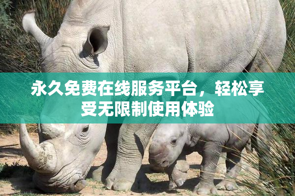 永久免费在线服务平台，轻松享受无限制使用体验