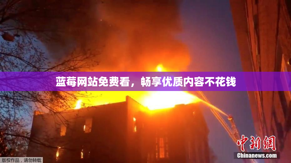 蓝莓网站免费看，畅享优质内容不花钱