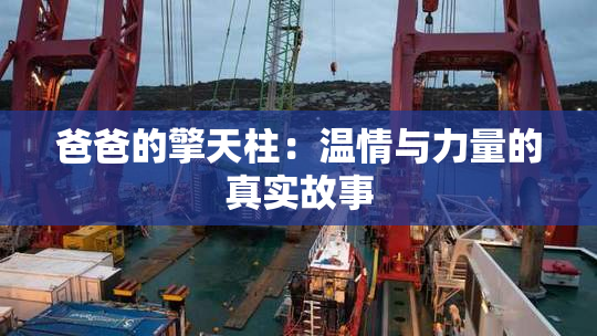 爸爸的擎天柱：温情与力量的真实故事