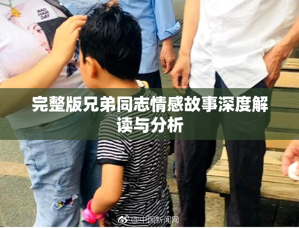 完整版兄弟同志情感故事深度解读与分析