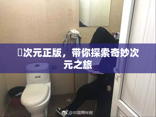 囧次元正版，带你探索奇妙次元之旅