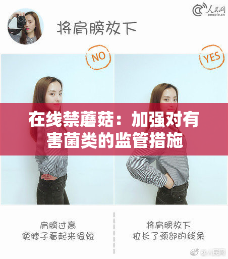 在线禁蘑菇：加强对有害菌类的监管措施