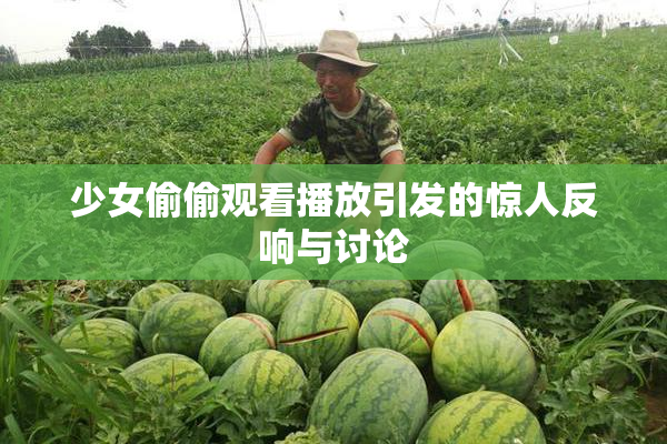 少女偷偷观看播放引发的惊人反响与讨论