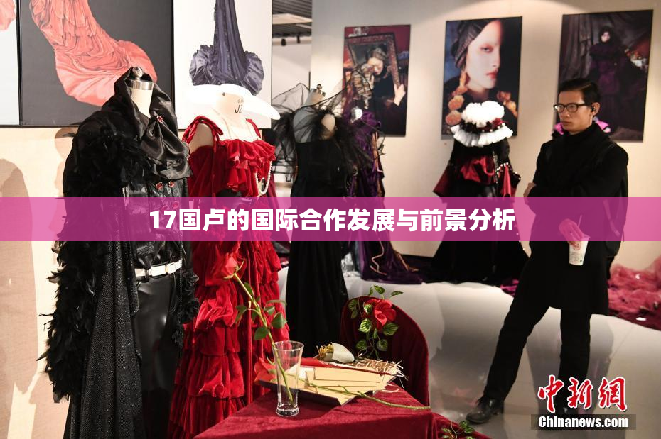 17国卢的国际合作发展与前景分析
