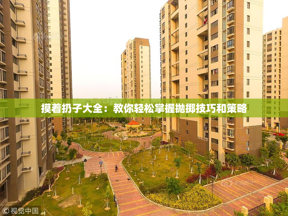 摸着扔子大全：教你轻松掌握抛掷技巧和策略