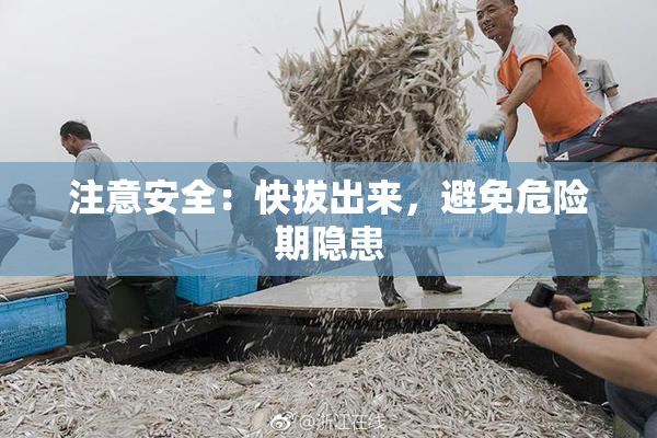 注意安全：快拔出来，避免危险期隐患