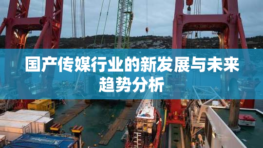 国产传媒行业的新发展与未来趋势分析