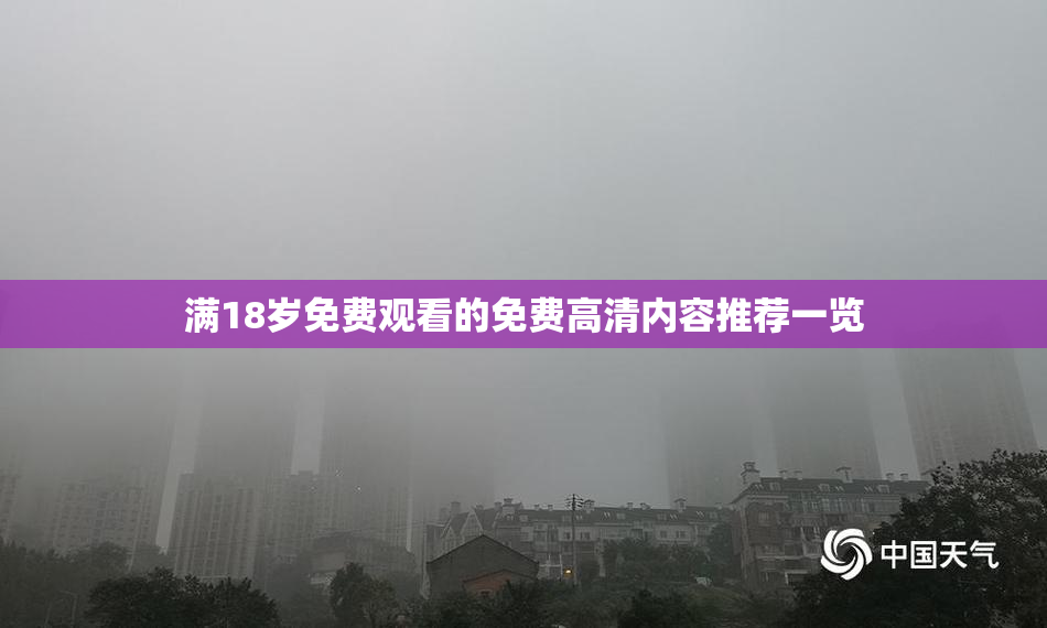满18岁免费观看的免费高清内容推荐一览
