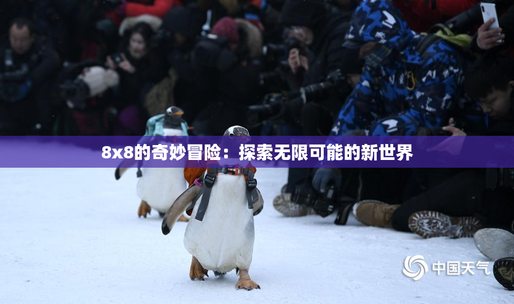 8x8的奇妙冒险：探索无限可能的新世界
