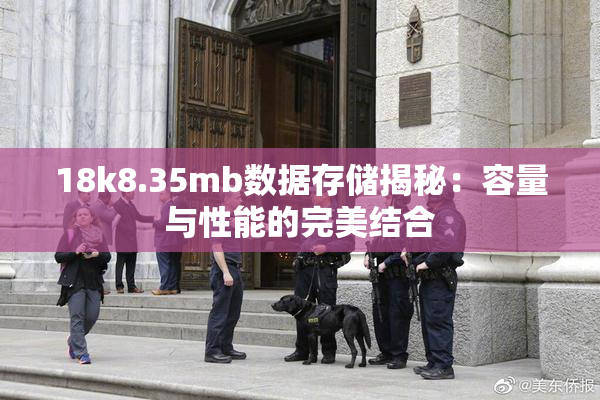 18k8.35mb数据存储揭秘：容量与性能的完美结合