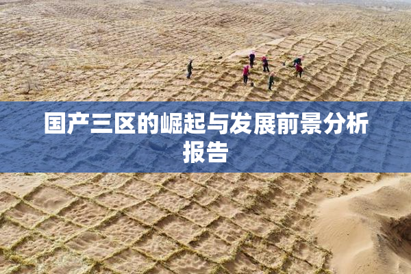 国产三区的崛起与发展前景分析报告