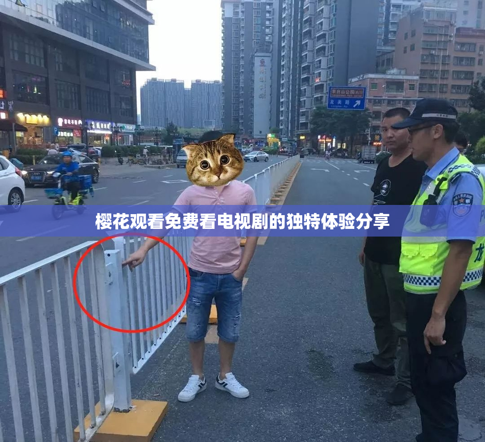 樱花观看免费看电视剧的独特体验分享