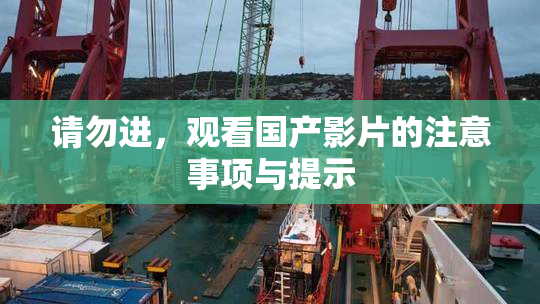 请勿进，观看国产影片的注意事项与提示