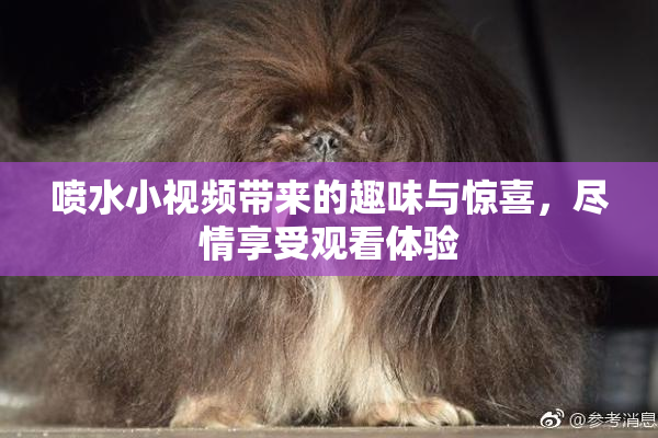 喷水小视频带来的趣味与惊喜，尽情享受观看体验
