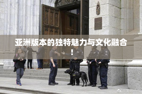 亚洲版本的独特魅力与文化融合！