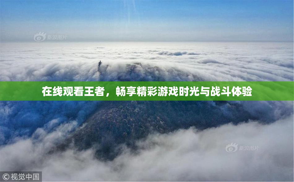 在线观看王者，畅享精彩游戏时光与战斗体验