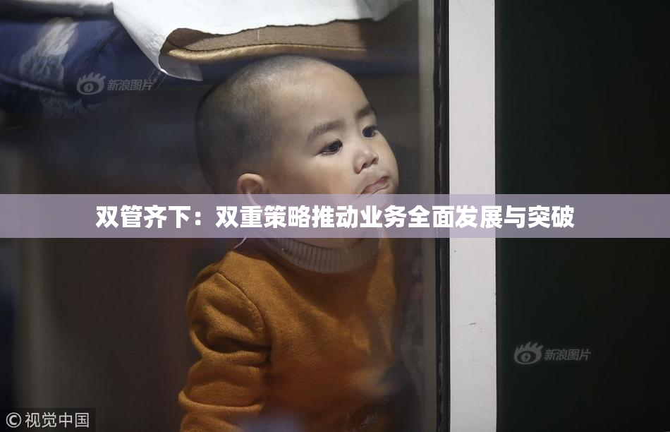 双管齐下：双重策略推动业务全面发展与突破