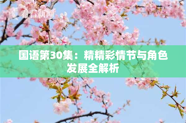 国语第30集：精精彩情节与角色发展全解析