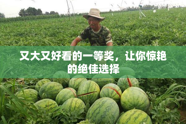 又大又好看的一等奖，让你惊艳的绝佳选择