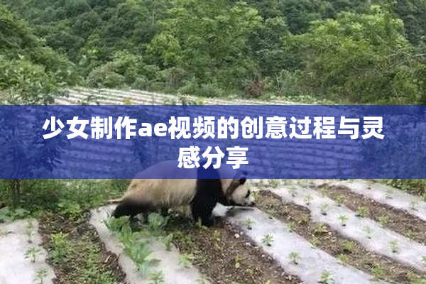 少女制作ae视频的创意过程与灵感分享