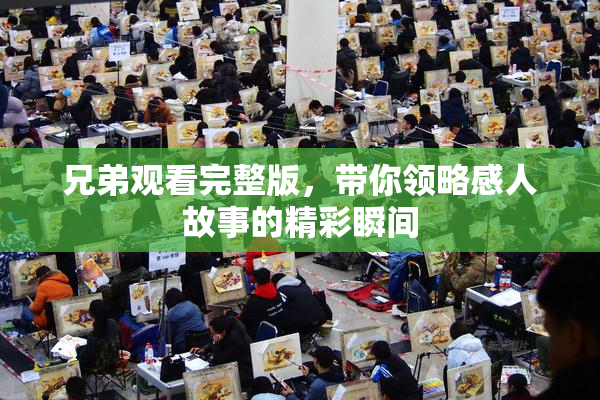 兄弟观看完整版，带你领略感人故事的精彩瞬间