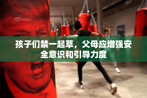 孩子们禁一起草，父母应增强安全意识和引导力度