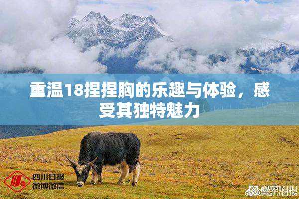 重温18捏捏胸的乐趣与体验，感受其独特魅力
