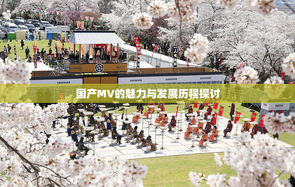 国产MV的魅力与发展历程探讨