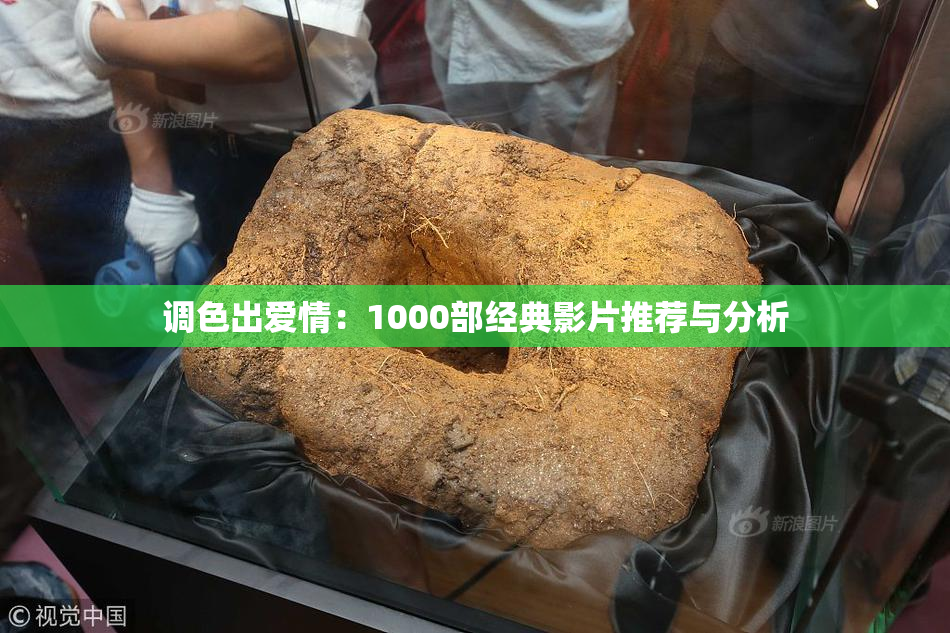 调色出爱情：1000部经典影片推荐与分析