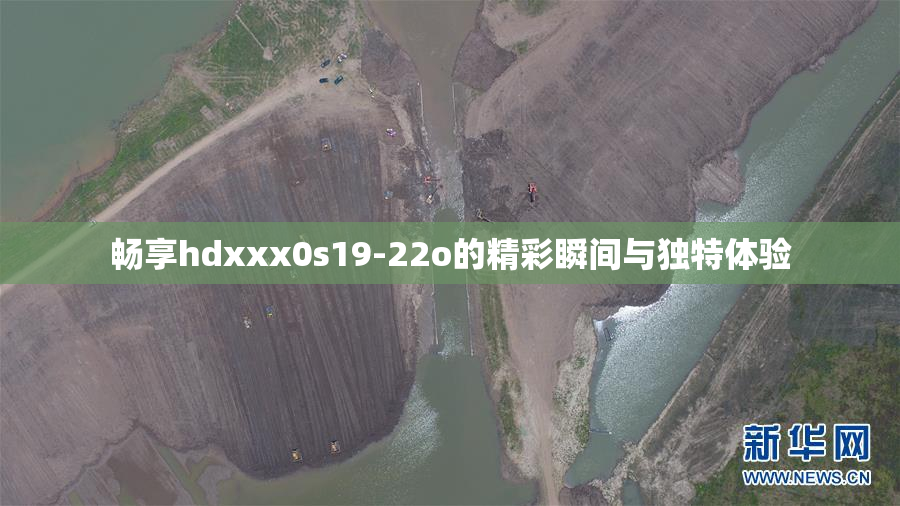 畅享hdxxx0s19-22o的精彩瞬间与独特体验