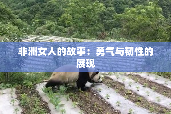 非洲女人的故事：勇气与韧性的展现