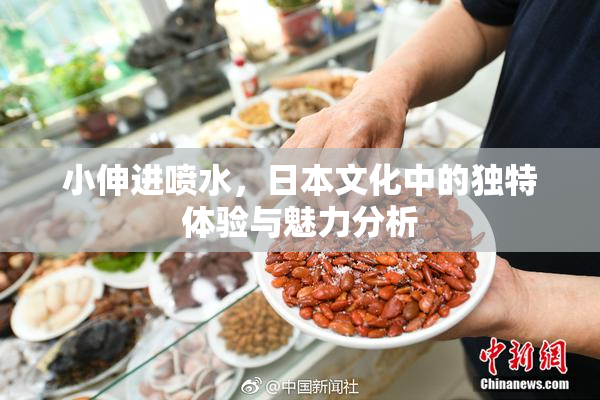 小伸进喷水，日本文化中的独特体验与魅力分析